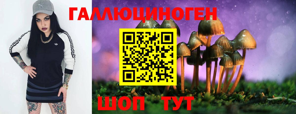 Усинск  Галлюциногенные грибы GOLDEN TEACHER  Галлюциногенные грибы GOLDEN TEACHER  Вход с VPN 